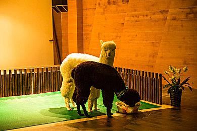 动作冒险游戏《蛇之守望者》现已在Steam发售 支持中文